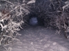 Snow tunnel, Ottawa, Ontario